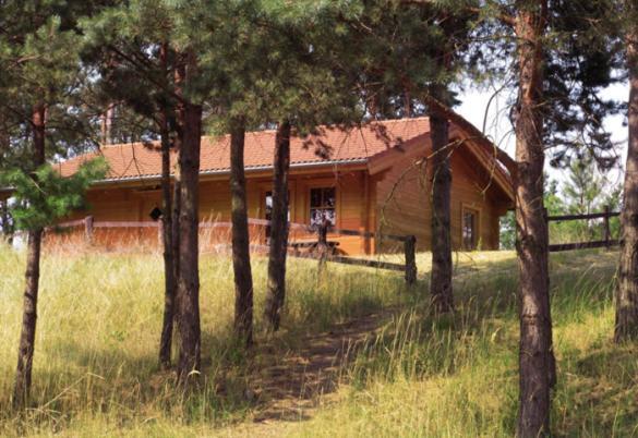 לישן Ferienhaus-Park Brennickenswerder מראה חיצוני תמונה